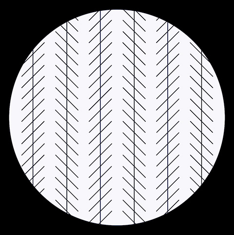 Raoul Records Lab